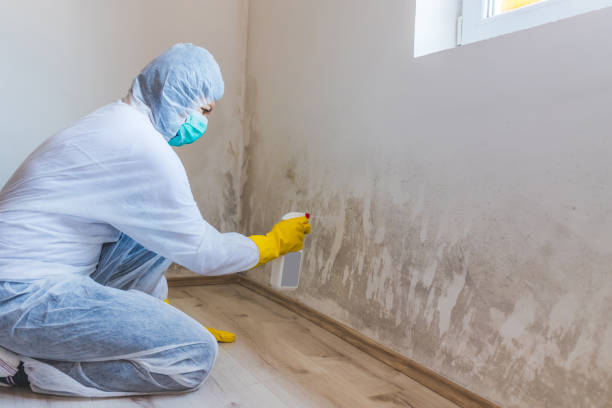 Commercial Mold Remediation assessment for commercial property in Brielle