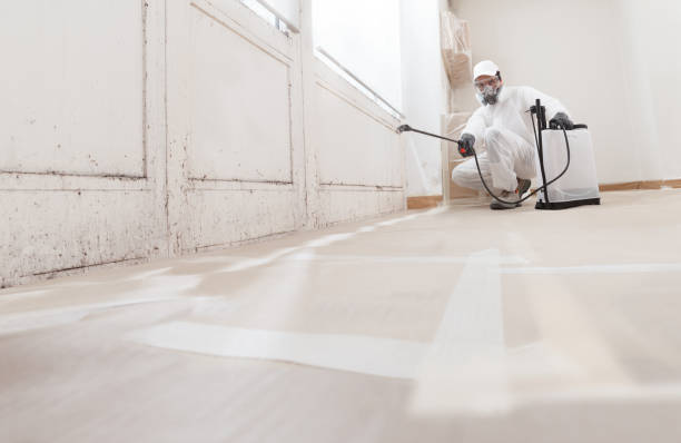 Black mold remediation team in Brielle